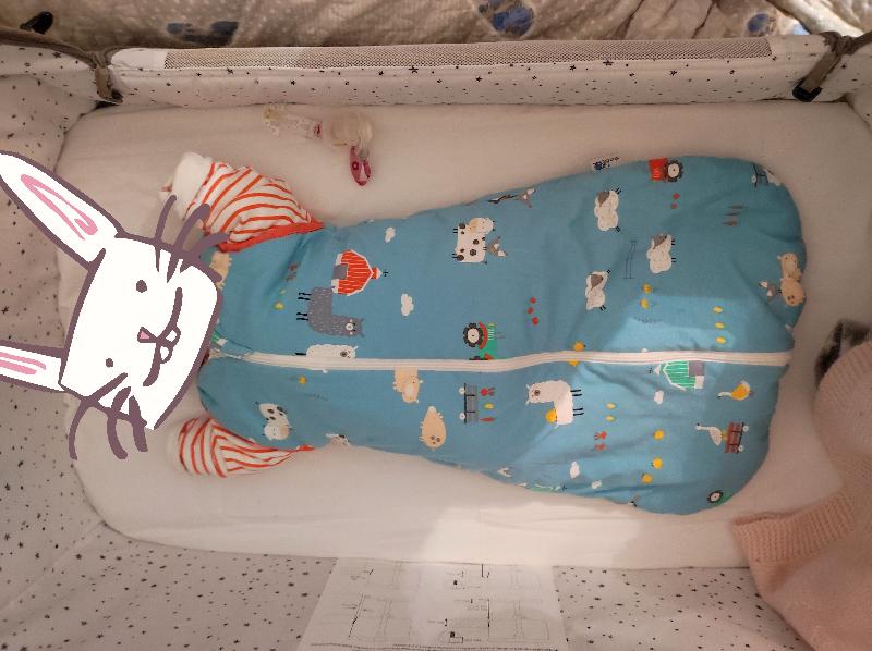 Sacco Nanna Annuale con Maniche Amovibili in cotone biologico 100% in diversi design
