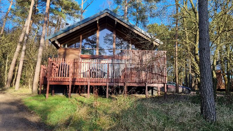Large, clean and warm wood cabins in the middle of great woodland