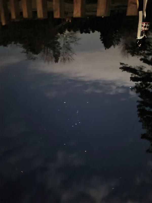 Lovely chilled week, hottub amazing, stargazing something else!