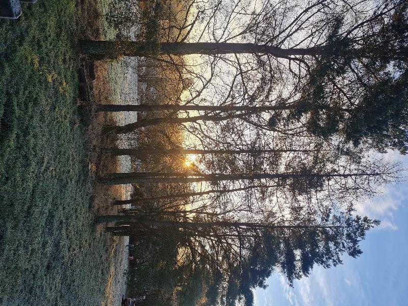 Lovely chilled week, hottub amazing, stargazing something else!