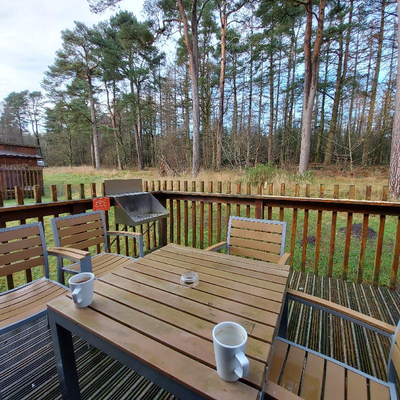 Wonderful break in the forest enjoying nature and relaxing comfortably