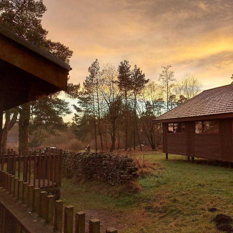Wonderful break in the forest enjoying nature and relaxing comfortably