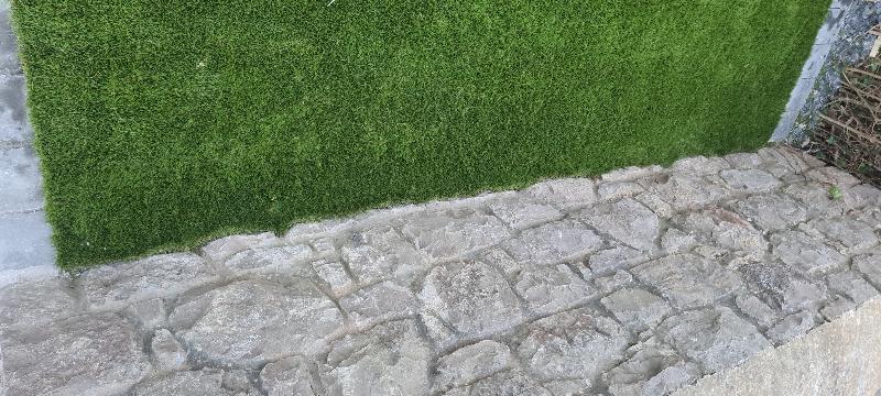 Amazing grass! Went down well! Looks brilliant!