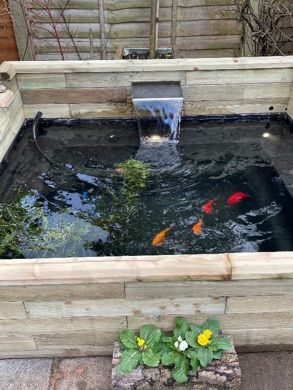 Great pond