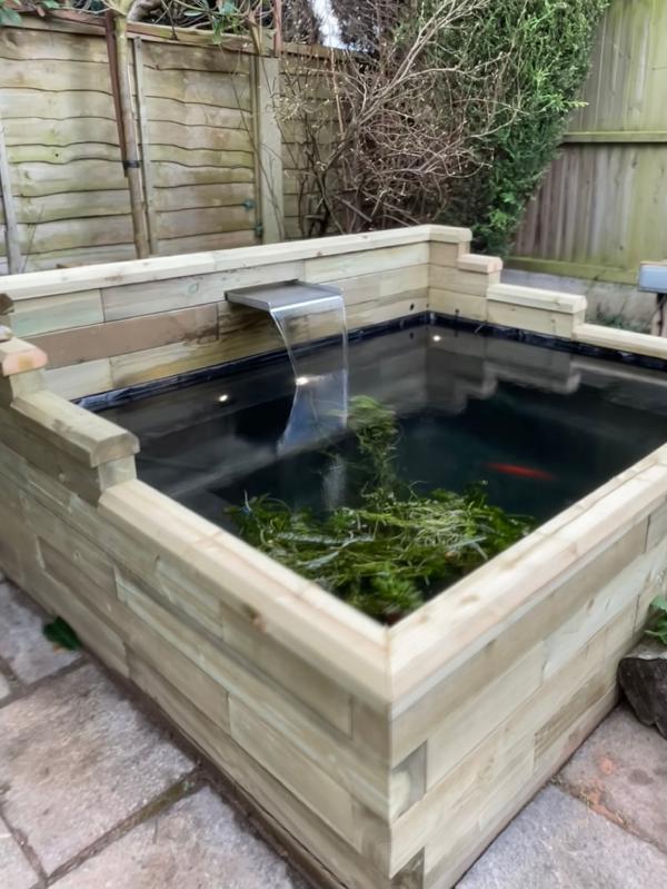 Great pond