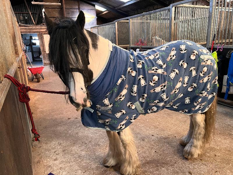 Easy process of ordering with Weatherbeeta already eyeing up my next buy