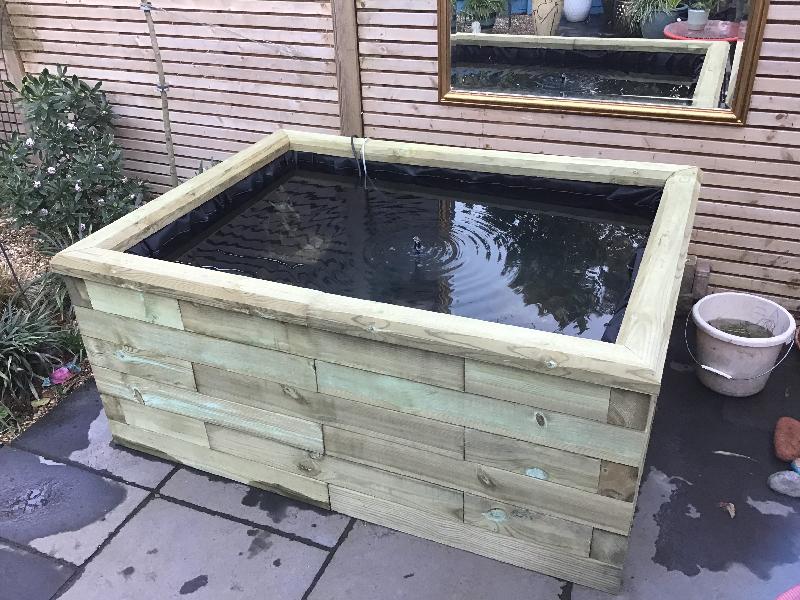 Not cheap, but great!