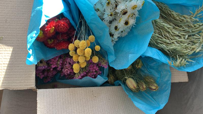 Gorgeous flowers, quick delivery and helpful customer service.