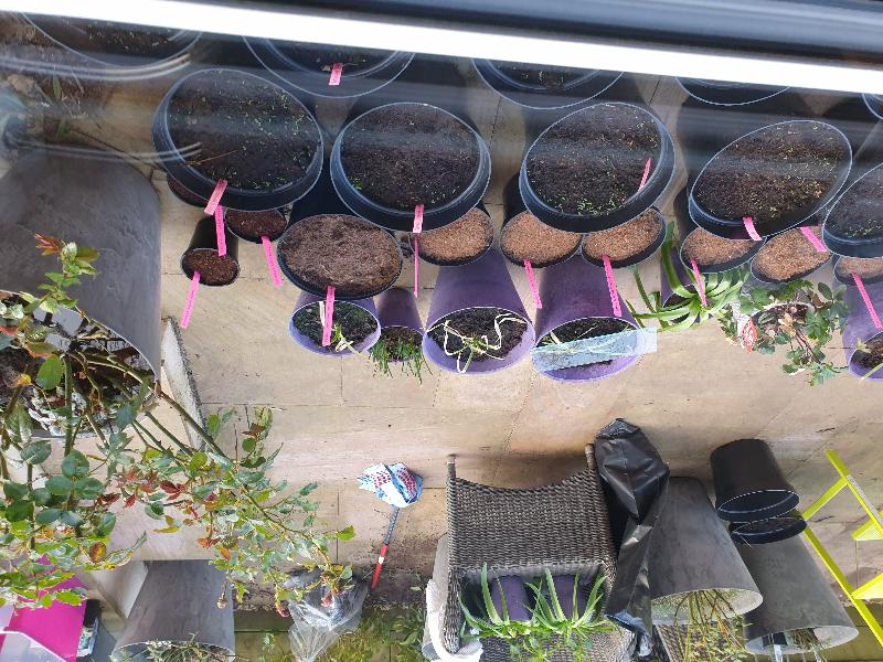 Great pots