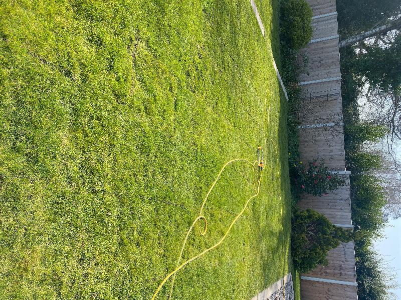 Great turf, great delivery recommend