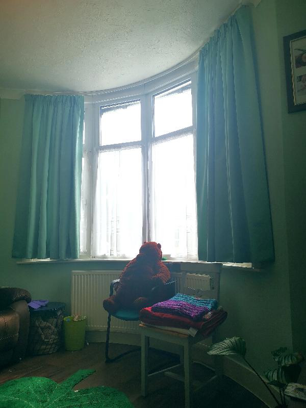 Beautiful curtains at an excellent price!