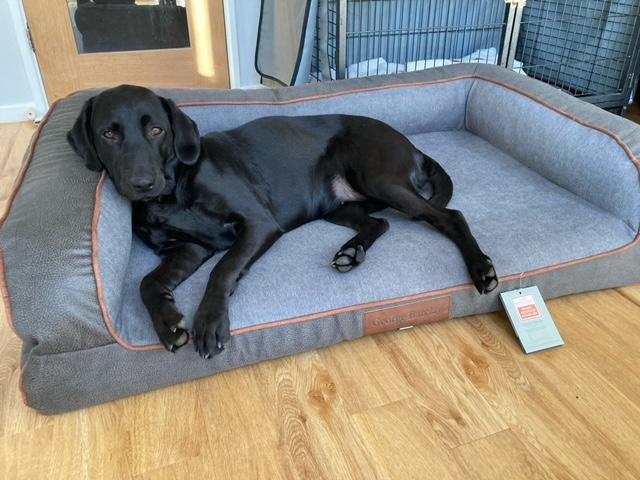 Very comfortable and supportive bed!