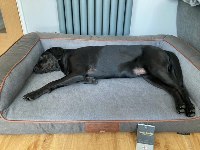 Very comfortable and supportive bed!