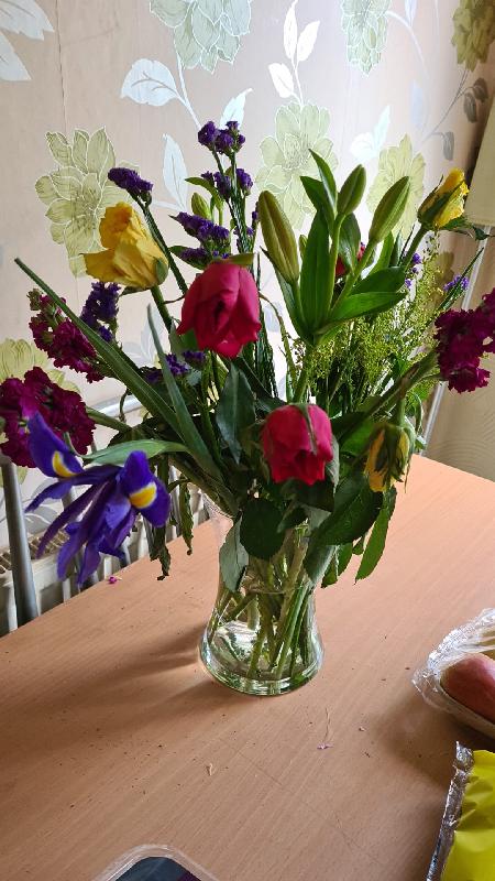 Wouldn’t use again
