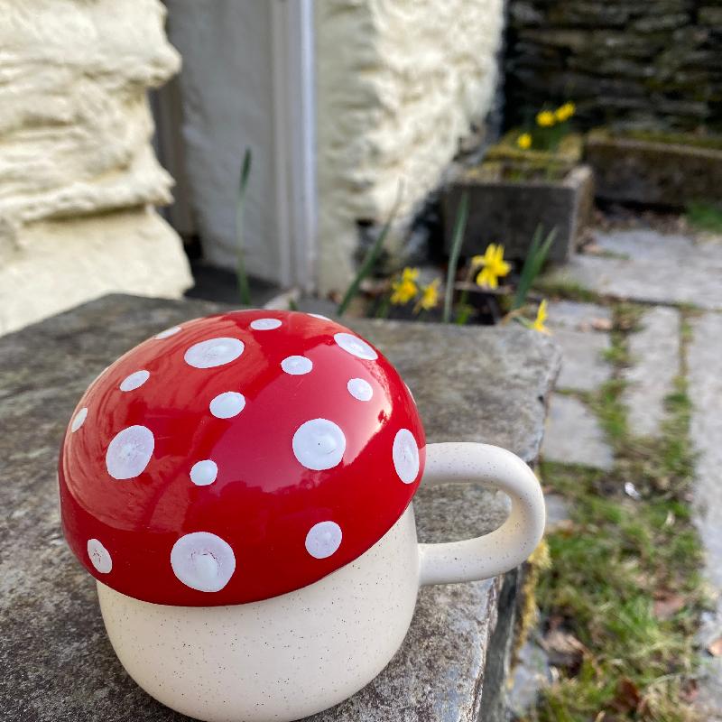Luvly Mushroom Mug