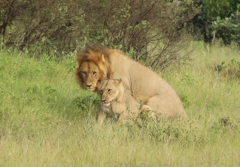 Another marvellous trip to Botswana