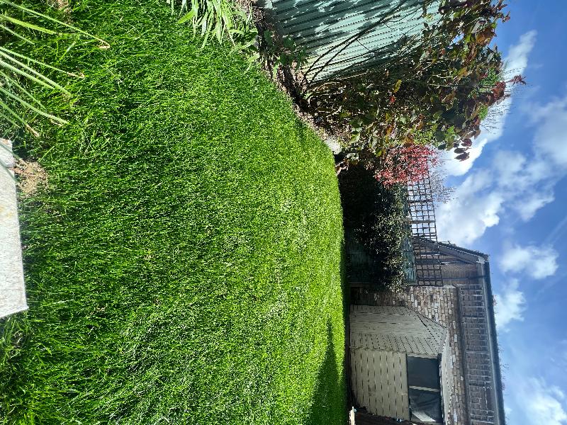 Amazing service, fantastic grass, lawn looks amazing!