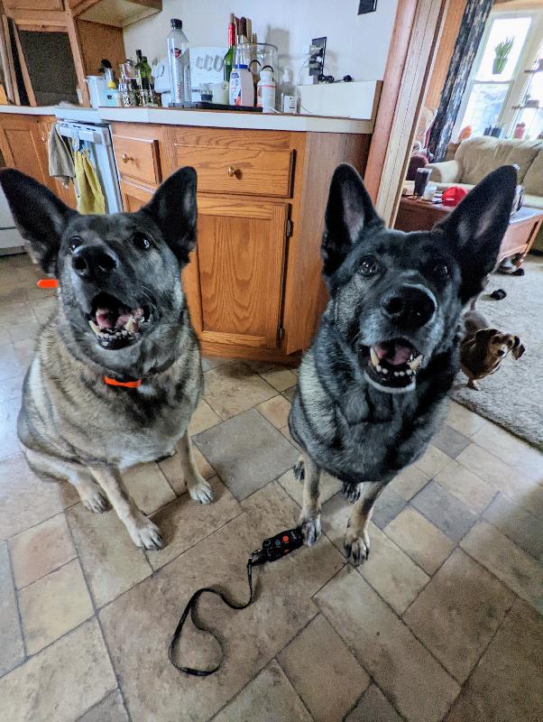 Super satisfied customers