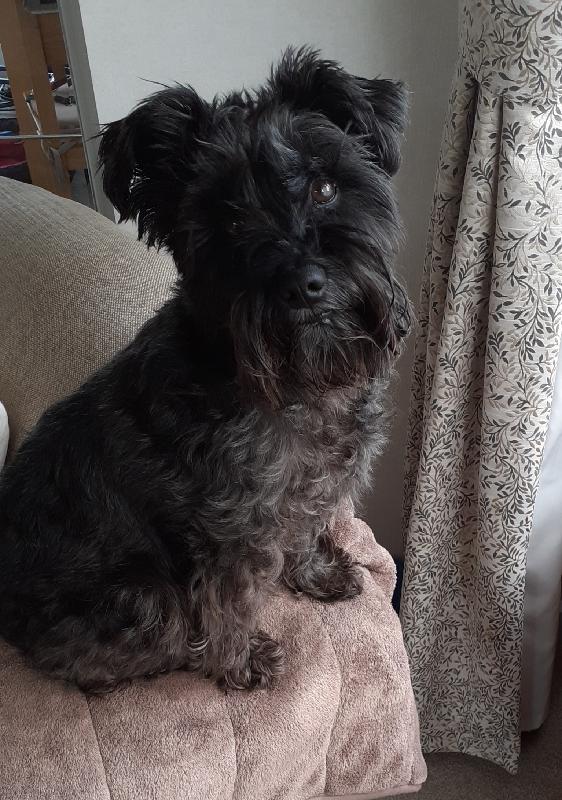 Vita canis is a great place to buy great products from