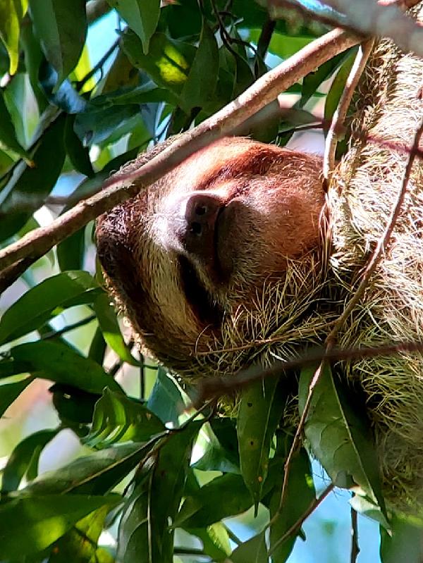 Pura Costa Rica Aventura