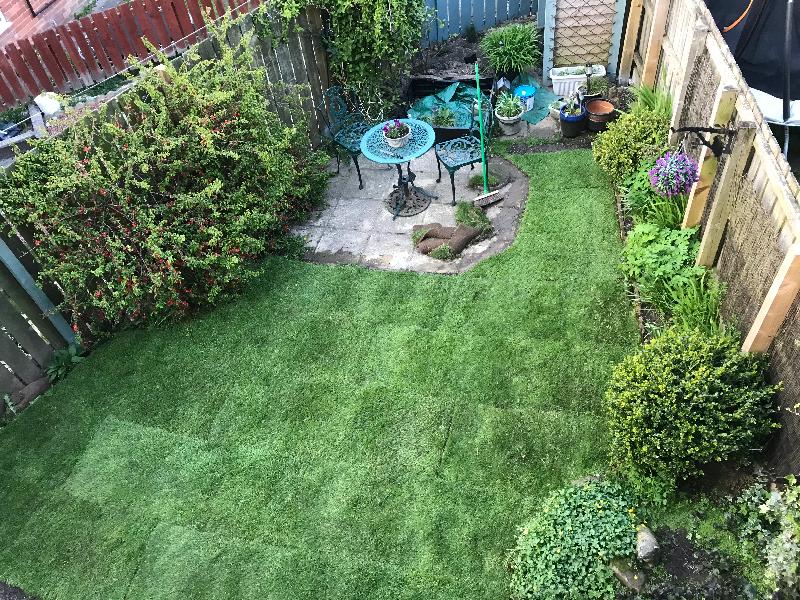 Excellent quality turf