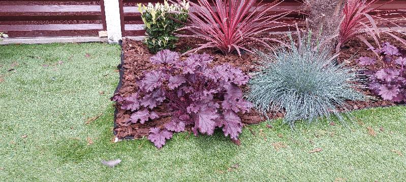 Amazing plants, great company