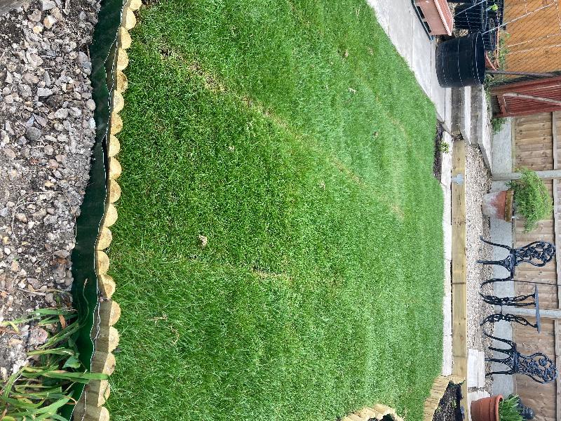 Topsoil and turf