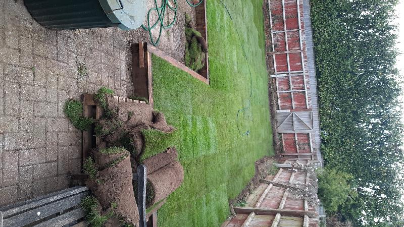 Great service great product of turf ordered