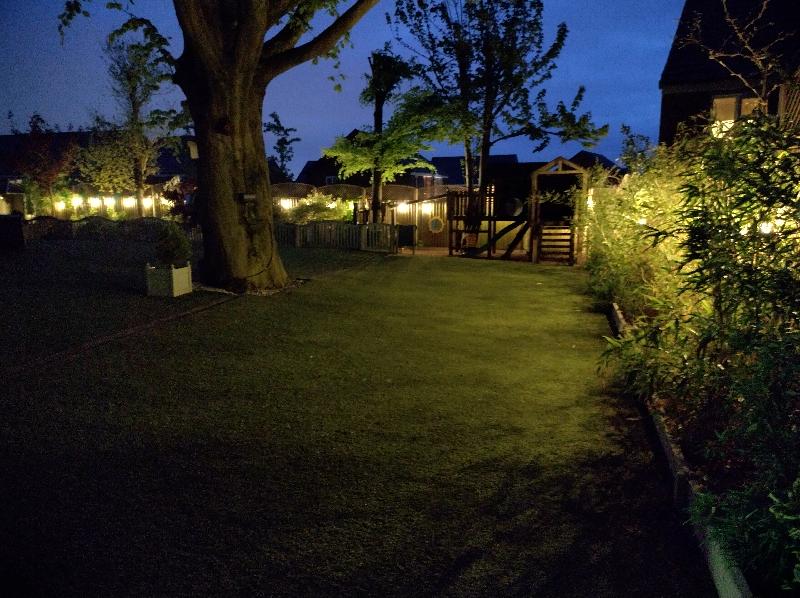 Great lights for garden!