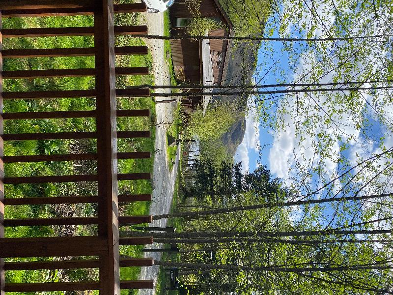 Forest Holidays, Loch Long