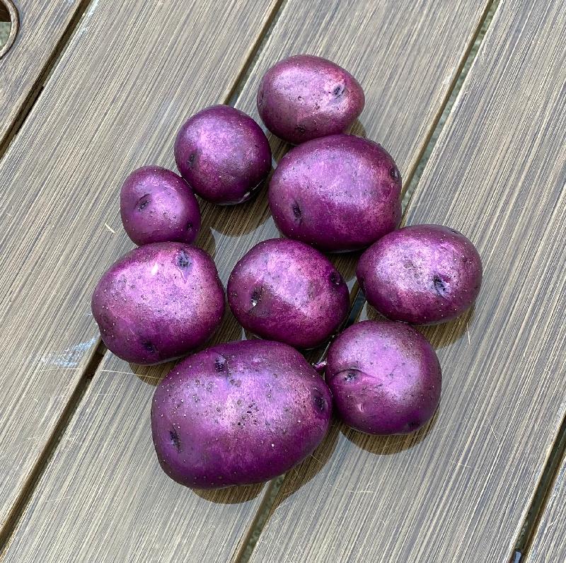 Fast shipping, delicious taters!