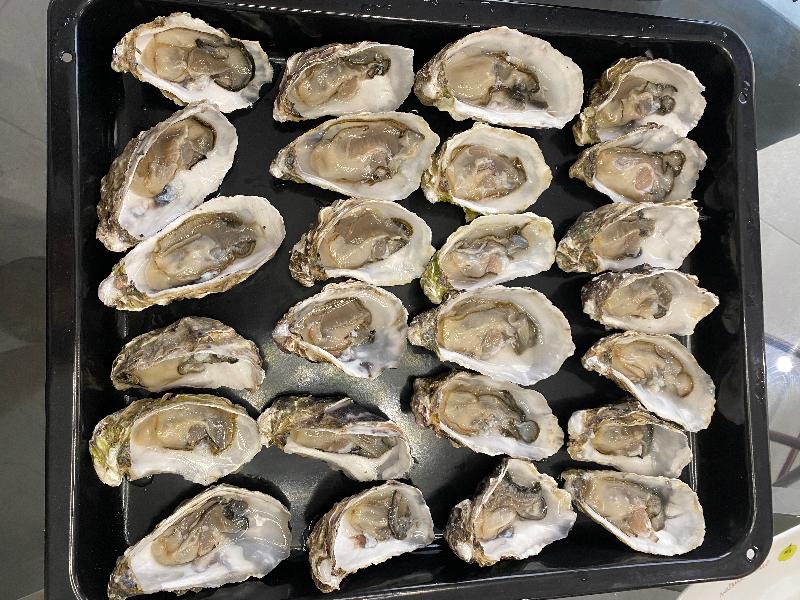 Oyster+Sashimi were very fresh with very good packaging