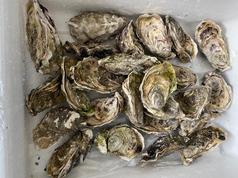 Oyster+Sashimi were very fresh with very good packaging