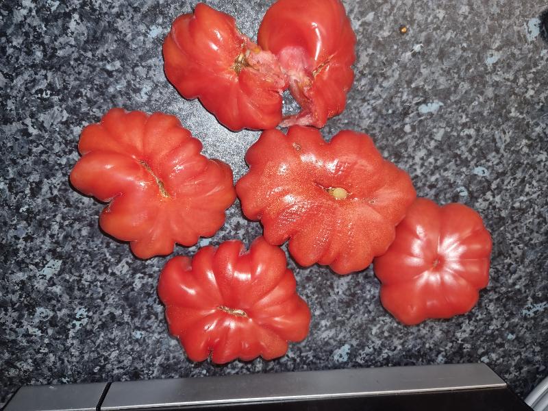 This is  not fresh vegetables. There to ripped or start to spoil