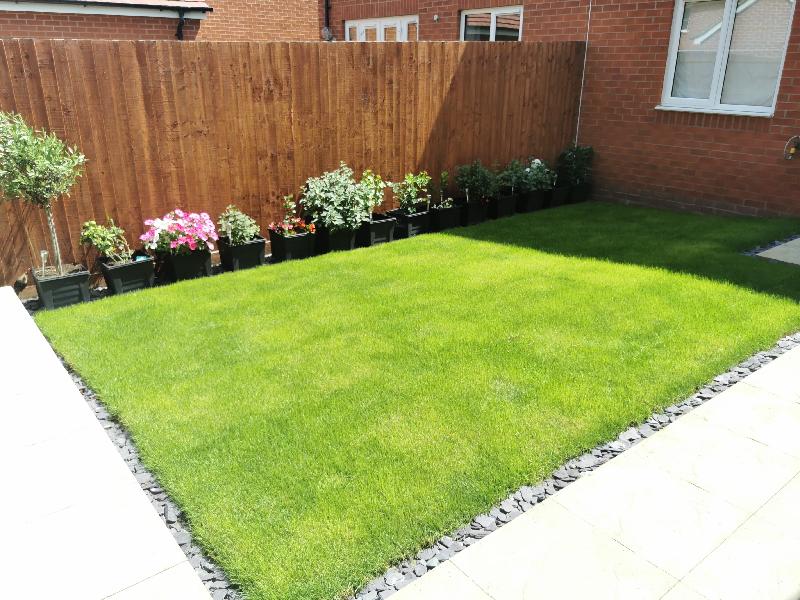 Lovely looking grass happy customer