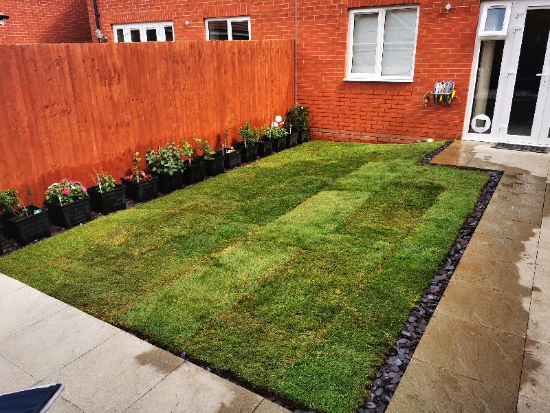 Lovely looking grass happy customer