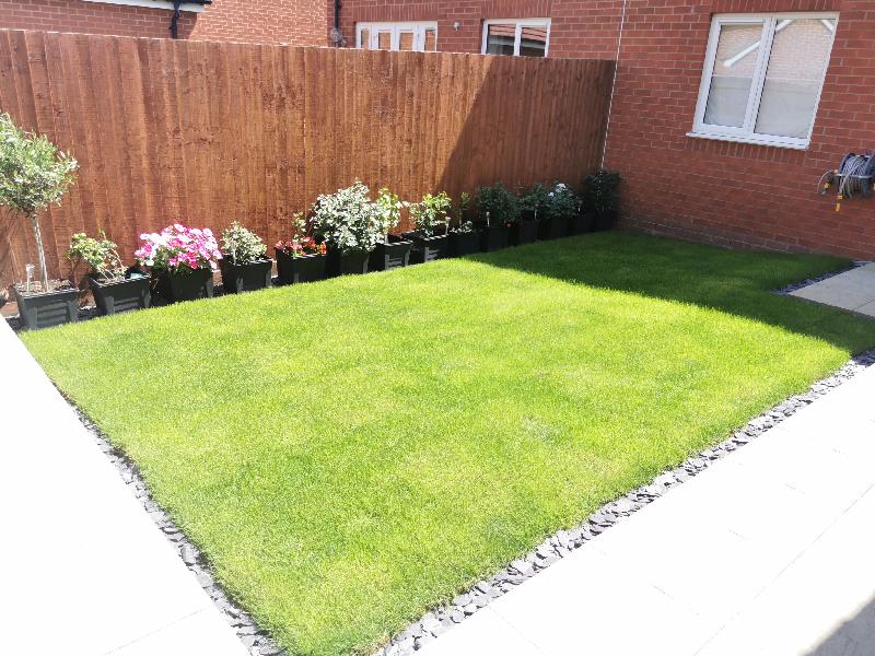Lovely looking grass happy customer