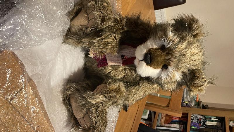 Beautiful bear from a great company!