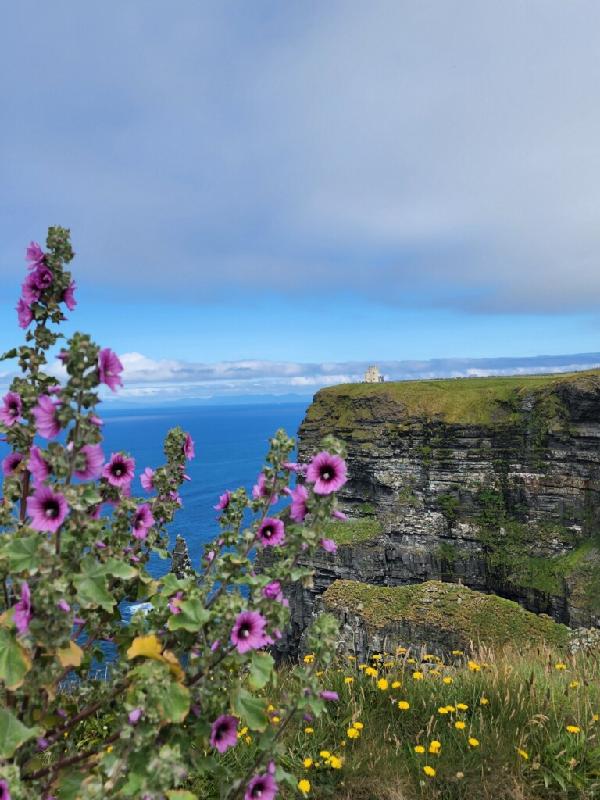 Awesome experience in Ireland 🇮🇪