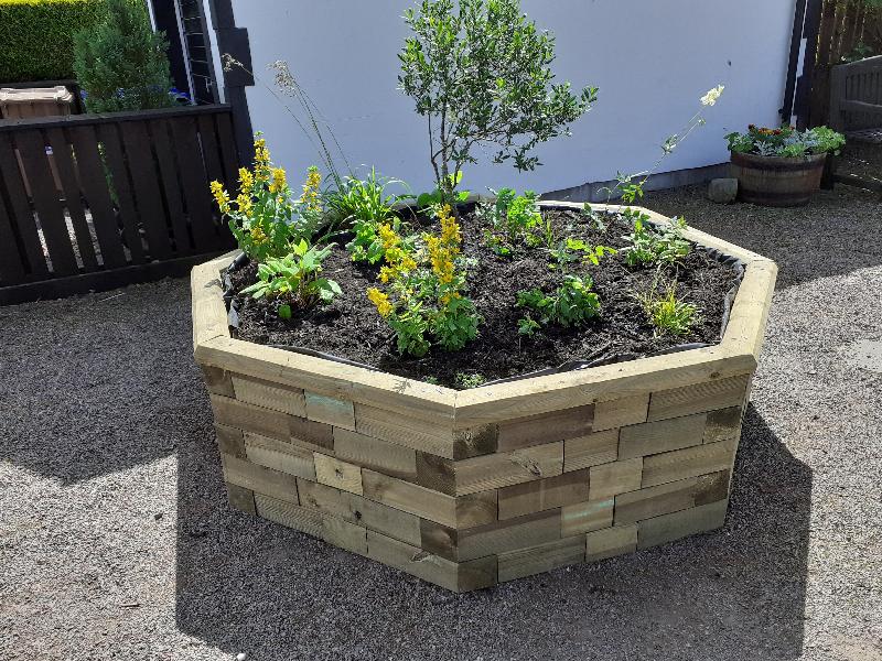 Good looking raised bed, built by volunteers