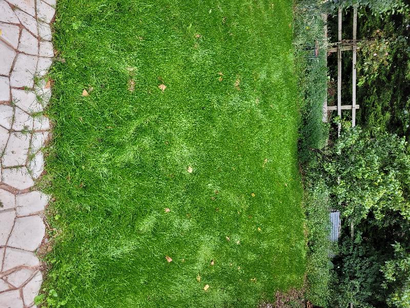 Will definitely use The Grass people again on future projects.