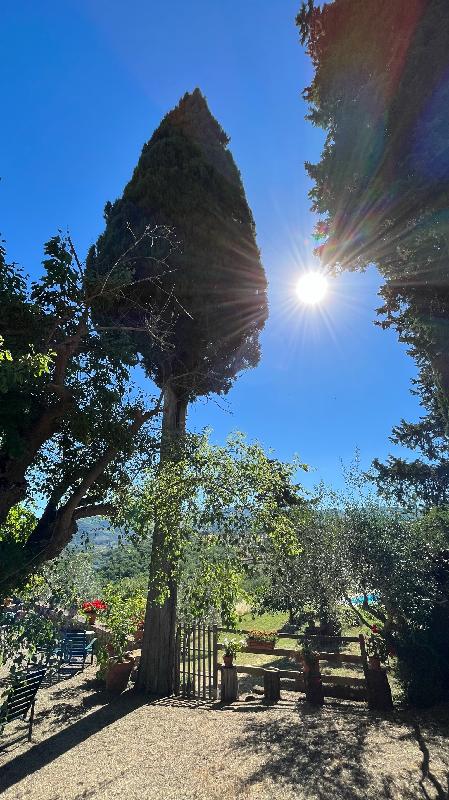 Perfect house in Panzano