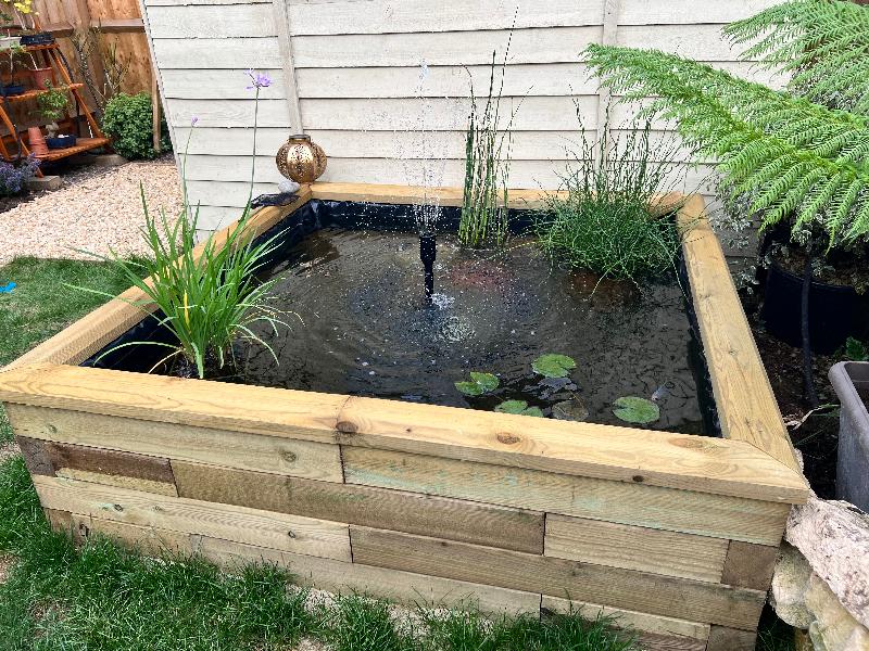 Fantastic - from bare ground to pond in a day!