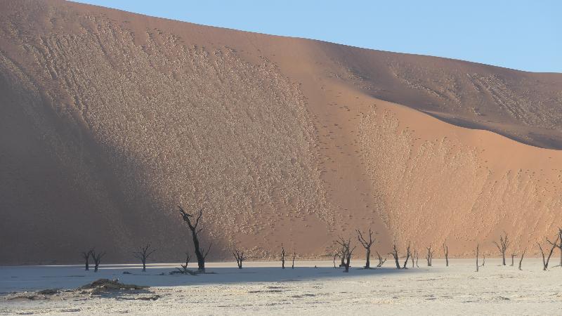 Namibia and Botswana diverse safari camp experience