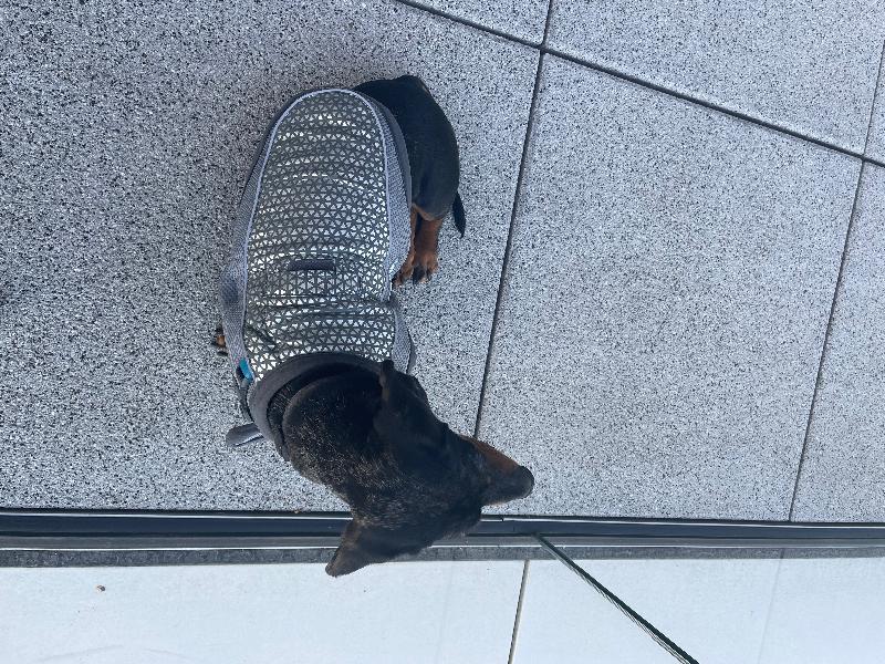 Great cooling jacket!