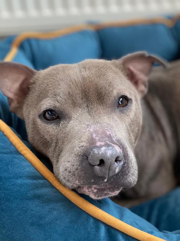 Bella is thriving with Yora in her diet.