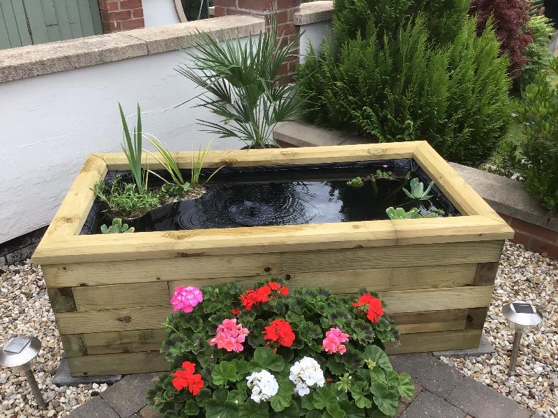 Fantastic pond and easily constructed