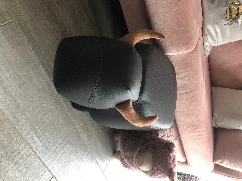 Excellent Foot rest