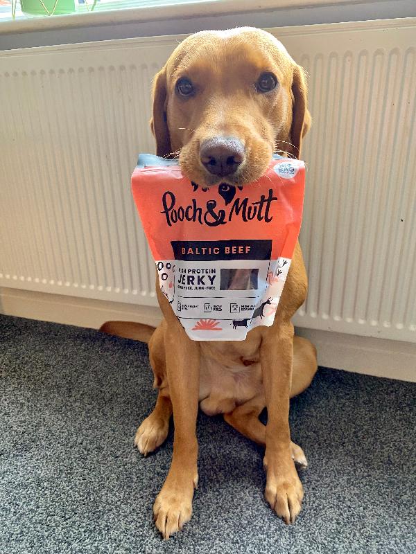 Great products fast delivery