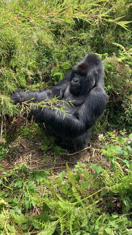 Highly recommend Go2Africa!